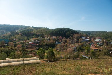 Phitsanulok Thailand January 25 2023 Wat Pa Phuhin Rong kla, Ban Rong Kla, Phu Hin Rong Kla National Park.