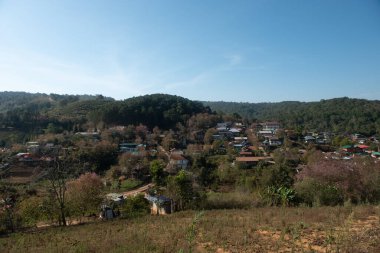 Phitsanulok Thailand January 25 2023 Wat Pa Phuhin Rong kla, Ban Rong Kla, Phu Hin Rong Kla National Park.