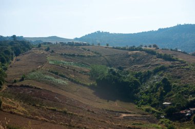 Phitsanulok Thailand January 25 2023 Wat Pa Phuhin Rong kla, Ban Rong Kla, Phu Hin Rong Kla National Park.