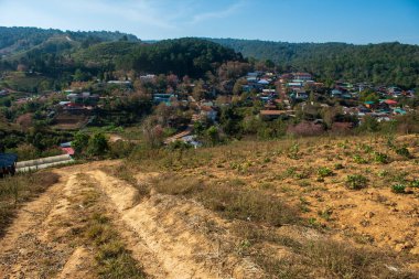 Phitsanulok Thailand January 25 2023 Wat Pa Phuhin Rong kla, Ban Rong Kla, Phu Hin Rong Kla National Park.