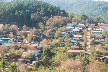 Phitsanulok Thailand January 25 2023 Wat Pa Phuhin Rong kla, Ban Rong Kla, Phu Hin Rong Kla National Park.