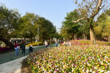 Chiang Rai Tayland 28 Aralık 2022 ASEAN Çiçek Festivali Chiang Rai 2022