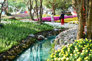 Chiang Rai Tayland 28 Aralık 2022 ASEAN Çiçek Festivali Chiang Rai 2022