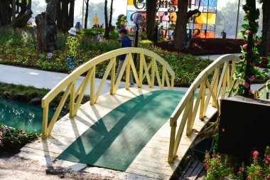 Chiang Rai Tayland 28 Aralık 2022 ASEAN Çiçek Festivali Chiang Rai 2022