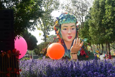 Chiang Rai Tayland 28 Aralık 2022 ASEAN Çiçek Festivali Chiang Rai 2022