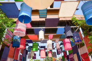 Chiang Rai Tayland 28 Aralık 2022 ASEAN Çiçek Festivali Chiang Rai 2022