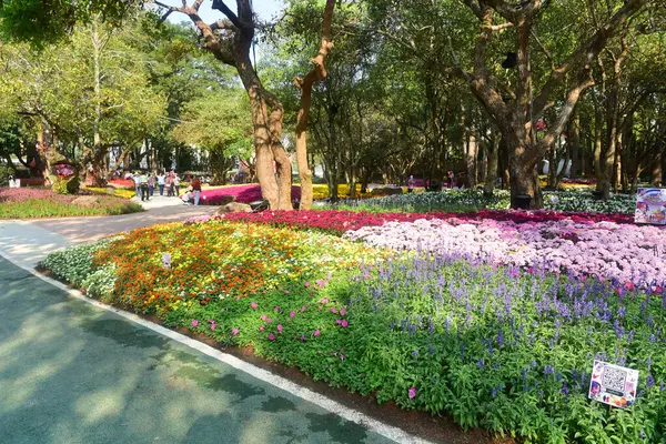 Chiang Rai Thailandia Dicembre 2022 Asean Flower Festival Chiang Rai — Foto Stock