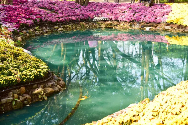 Чіанг Рай Таїланд Грудня 2022 Асеан Квітковий Фестиваль Чіанг Рай — стокове фото