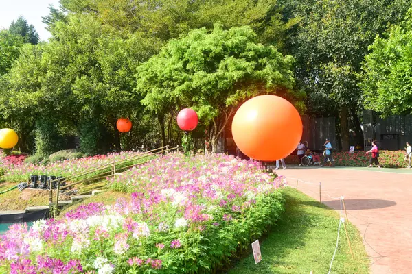 Chiang Rai Tajlandia Grudzień 2022 Festiwal Kwiatów Asean Chiang Rai — Zdjęcie stockowe