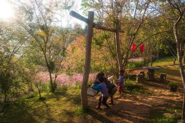 Phitsanulok Thailand January 25 2023 Rongkra village is located at Phitsanulok Province as the south of northern . Ban Rong Kla, Phu Hin Rong Kla National Park.