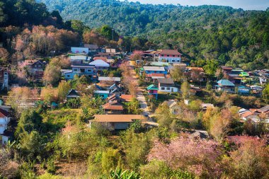 Phitsanulok Thailand January 25 2023 Wat Pa Phuhin Rong kla, Ban Rong Kla, Phu Hin Rong Kla National Park.