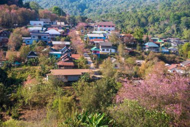 Phitsanulok Thailand January 25 2023 Wat Pa Phuhin Rong kla, Ban Rong Kla, Phu Hin Rong Kla National Park.