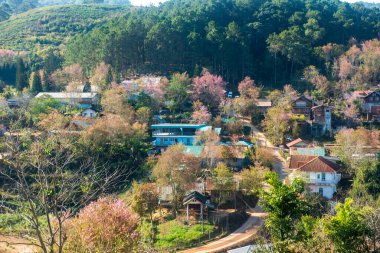 Phitsanulok Tayland 25 Ocak 2023 Wat Pa Phuhin Rong kla, Ban Rong Kla, Phu Hin Rong Kla Milli Park.