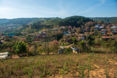 Phitsanulok Thailand January 25 2023 Wat Pa Phuhin Rong kla, Ban Rong Kla, Phu Hin Rong Kla National Park.