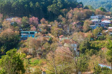 Phitsanulok Thailand January 25 2023 Wat Pa Phuhin Rong kla, Ban Rong Kla, Phu Hin Rong Kla National Park.