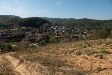 Phitsanulok Tayland 25 Ocak 2023 Wat Pa Phuhin Rong kla, Ban Rong Kla, Phu Hin Rong Kla Milli Park.