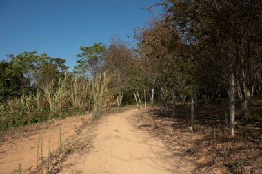 Phitsanulok Thailand January 25 2023 Wat Pa Phuhin Rong kla, Ban Rong Kla, Phu Hin Rong Kla National Park.