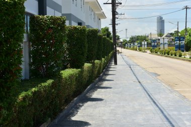 Mavi gökyüzü ve arka plan için küçük beyaz bulutlar.