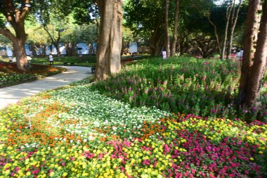 Chiang Rai Tayland 28 Aralık 2022 ASEAN Çiçek Festivali Chiang Rai 2022