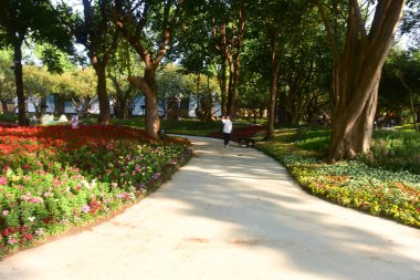 Chiang Rai Tayland 28 Aralık 2022 ASEAN Çiçek Festivali Chiang Rai 2022