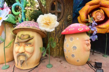 Chiang Rai Tayland 28 Aralık 2022 ASEAN Çiçek Festivali Chiang Rai 2022