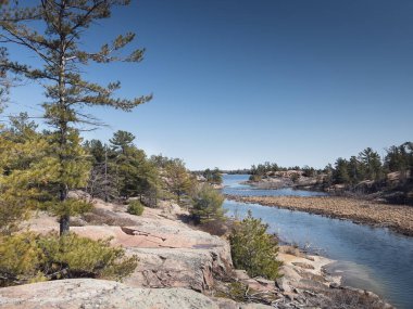 Güneşli bir günde ormanda açık mavi gökyüzüne karşı ağaçların ve kaya oluşumlarının aktığı nehir manzarası