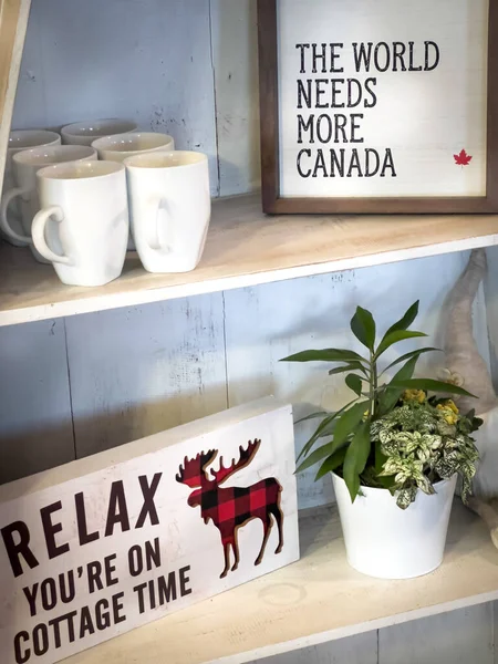 在家中木架上摆放带有文字框架和白色咖啡杯的盆栽植物的特写 — 图库照片