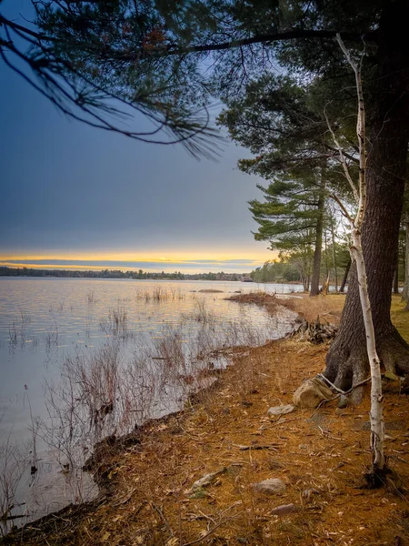 Malowniczy Spokojny Widok Spokojne Jezioro Przez Drzewa Rosnące Przed Chmurowym — Zdjęcie stockowe