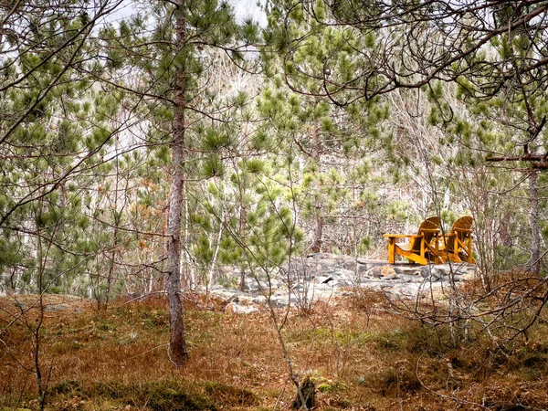 森の中で緑豊かな木々の中で岩の形成に黄色の空の木製の椅子 — ストック写真