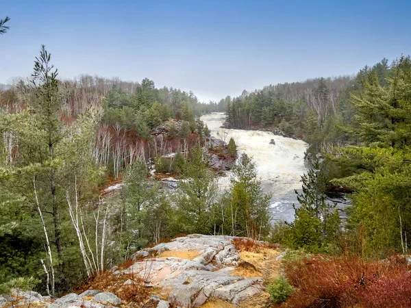 Scénický Pohled Řeku Tekoucí Mezi Svěžími Stromy Rostoucími Lese Proti — Stock fotografie