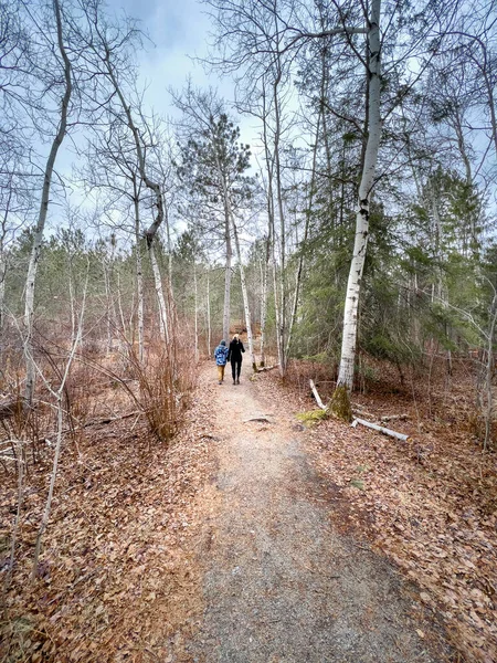 森の中で休暇を楽しみながら木の中を歩く息子を持つ白人の母親の背面ビュー — ストック写真