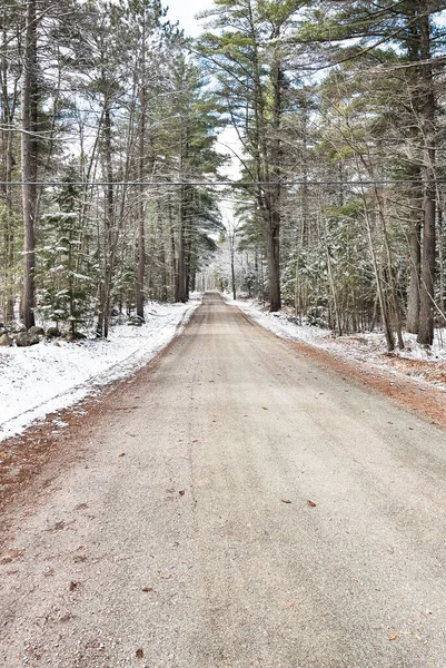 在被积雪覆盖的林地上生长的树木中 道路的前景越来越暗淡 — 图库照片
