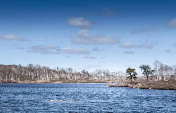 Malerischer Blick Auf Den See Mit Kahlen Bäumen Hintergrund Vor — Stockfoto