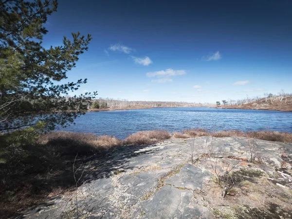 Scénický Klidný Pohled Jezero Proti Modré Obloze Lese Během Slunečného — Stock fotografie