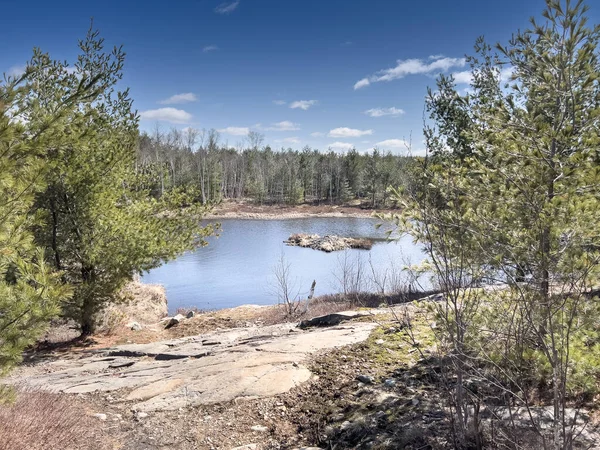 Vista Panorâmica Lago Calmo Cercado Por Árvores Verdes Exuberantes Que — Fotografia de Stock