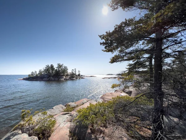 阳光明媚的日子里 在碧空映衬下的海景下 岩石上生长着树木 — 图库照片