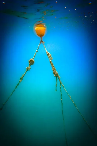 青い海に水中に浮かぶ長いロープで結ばれたブイ — ストック写真