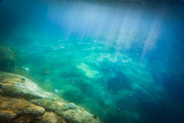 Mavi Denizde Okyanus Tabanında Yüzen Balık Sürüsünün Yüksek Açılı Görüntüsü — Stok fotoğraf