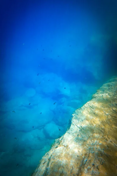 Vista Alto Angolo Dei Pesci Che Nuotano Sulle Rocce Sottomarine — Foto Stock