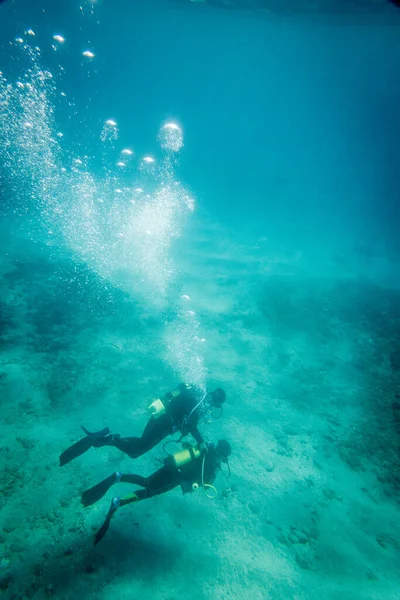 度假期间 父亲和儿子一起在深海蓝水下的洋底潜水的高视角图像 — 图库照片