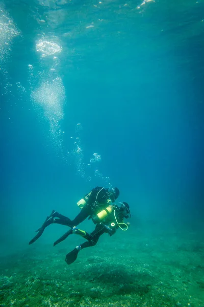 息子のスキューバダイビングや休暇中に青い海の深い水の下で一緒に海を探索すると白人の父の完全な長さ ストック画像