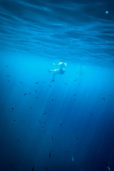 休暇中に青い海で水中魚の上で一緒に泳ぐ男女の低いセクション ロイヤリティフリーのストック画像