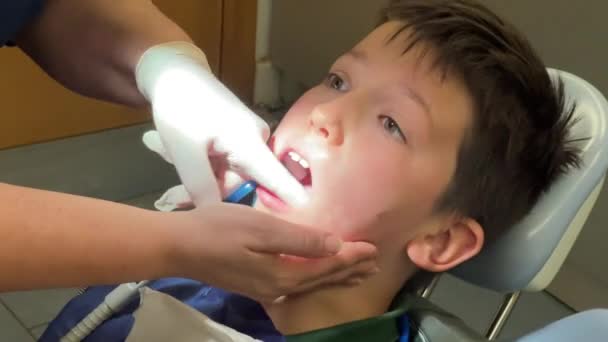 Οδοντίατρος Εξετάζει Δόντια Του Μικρού Ασθενή Αγόρι Στην Κλινική — Αρχείο Βίντεο