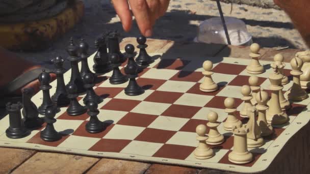 Σκάκι Παιχνίδι Από Toronto Κέντρο Του Καναδά — Αρχείο Βίντεο