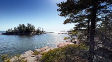 Kaya ve ağaçlı sahil, doğa manzarası.
