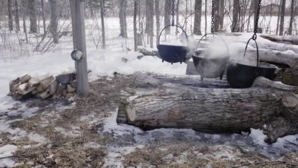 Arce Suryp Fuego Invierno Ontario — Vídeos de Stock