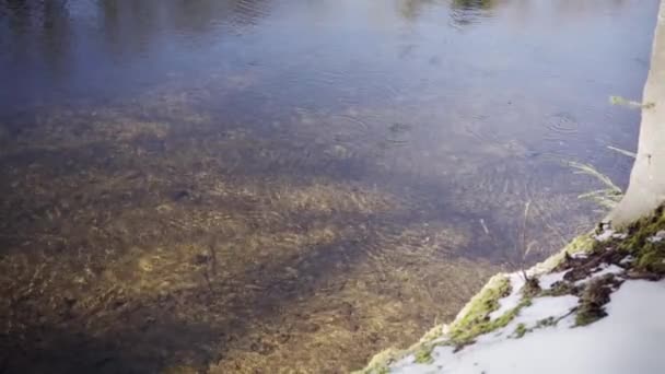 Hermoso Invierno Ontario Con Río — Vídeos de Stock