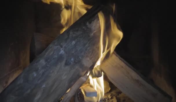 木を燃やすクローズアップビュー — ストック動画