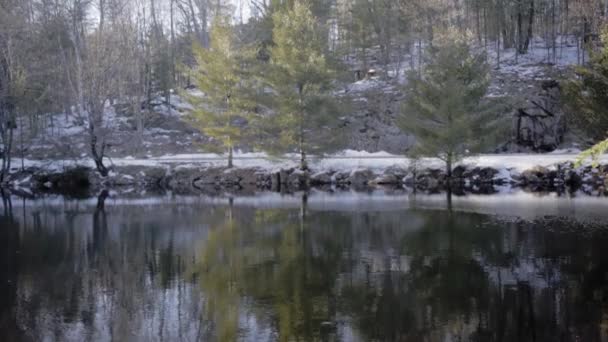 Bellissimo Inverno Ontario Con Fiume — Video Stock