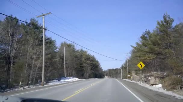 Car Riding Road Trees — Αρχείο Βίντεο